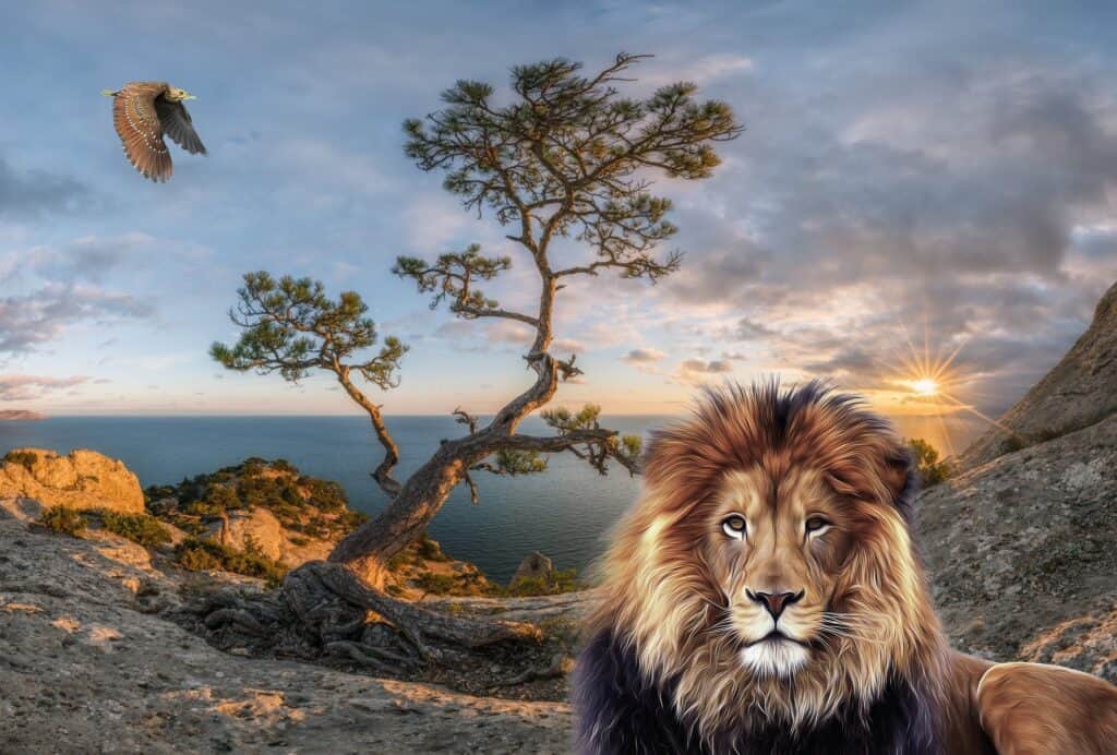 Nature Lion Landscape Fantasy